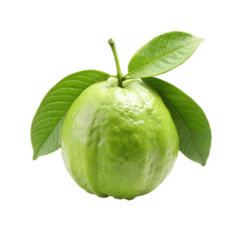 green guava fruit with leaves on a transparent background png