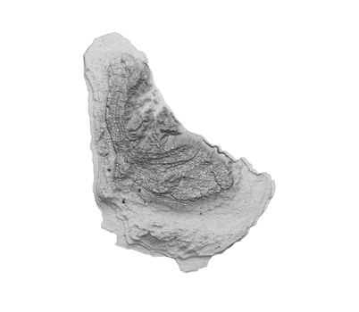 Barbados Map Barbados Flag Shaded relief Color Height map 3d illustration png