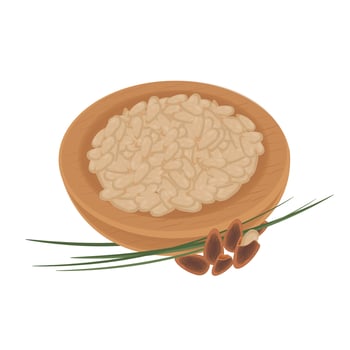 Illustration logo Clip art pine nuts on a wooden bowl vector