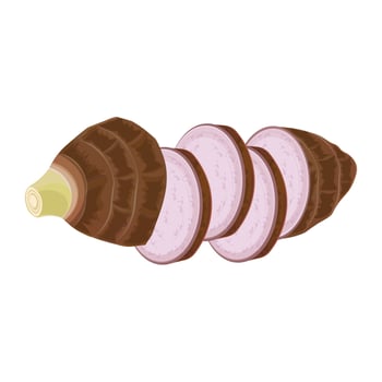 Illustration logo clip art sliced taro roots vector