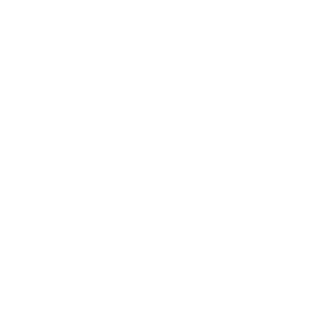traditional pattern of flower png