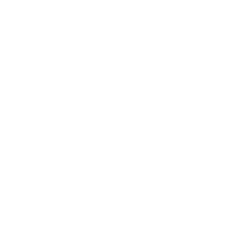 traditional pattern of flower png