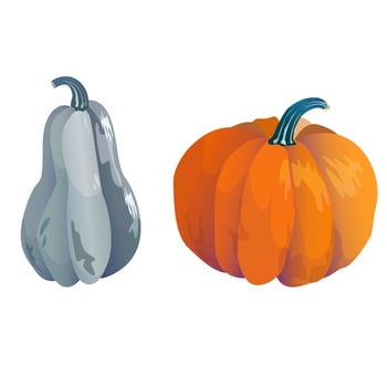 Set of harvest symbols - colorful pumpkins orange and grey, autumn cartoon illustration isolated on white background vector