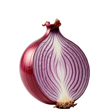 Red onion cut half png