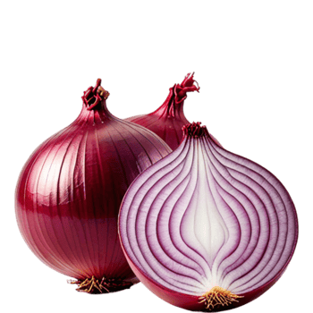 Red onion cut half png