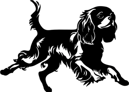 Adorable Cavalier King Charles Spaniel stencil captures canine charm. AI-generated. png