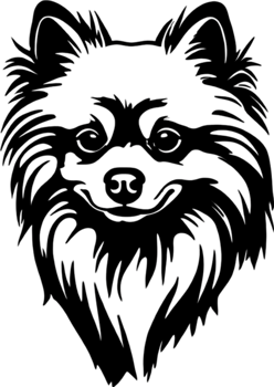 Adorable Pomeranian silhouette captures canine charm perfectly. AI-generated. png