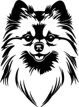Adorable Pomeranian silhouette captures canine charm perfectly. AI-generated. png