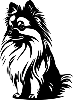 Adorable Pomeranian silhouette captures canine charm perfectly. AI-generated. png