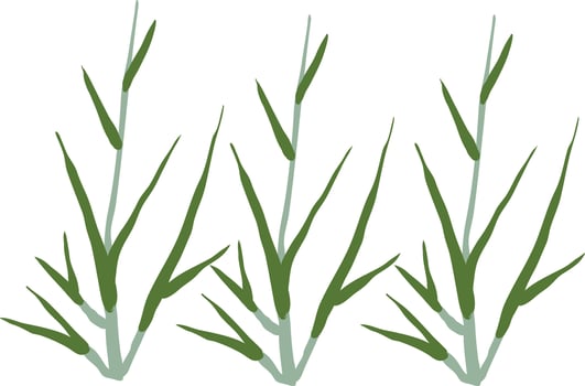 green wild grass vector