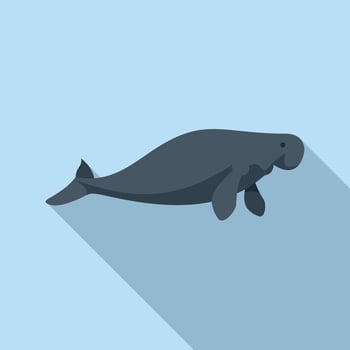 Dugong sea cow swimming underwater marine wildlife vector