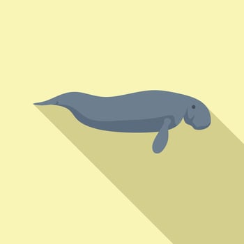 Large aquatic mammal dugong swimming in the ocean vector
