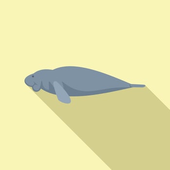 Large aquatic mammal manatee swimming in ocean water vector