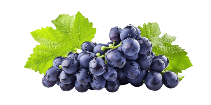 Grapes isolated on transparent background png