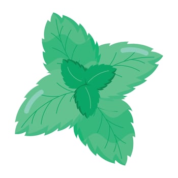 WebA flat style sticker of mint leaves vector