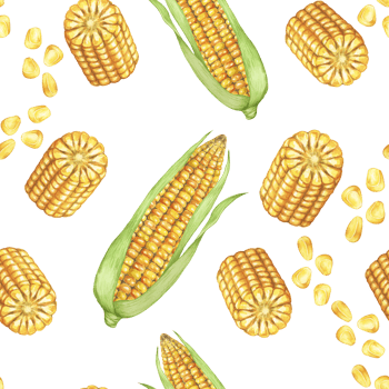 Yellow corn and seeds seamless pattern, autumnal textile, golden cobs background. Watercolor sweetcorn botanical print design for clothes, wallpaper, wrapping paper, scrapbooking, food packaging, Thanksgiving png