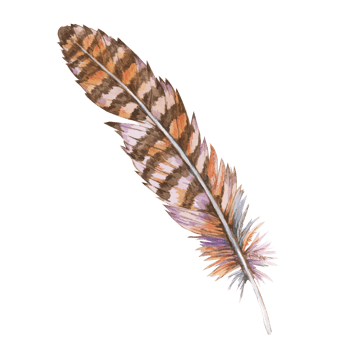Feather watercolor illustration in earthy palette of browns and beiges with subtle hints of lavender. Plumage Clipart for nature-themed projects, rustic wedding decor, and organic product packaging png
