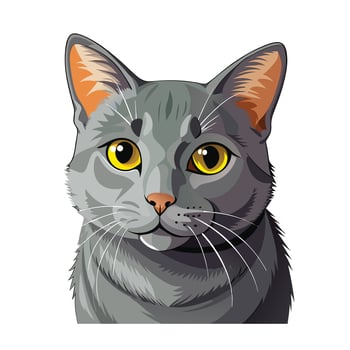 Realistic Illustration of Popular Pet Cat vector