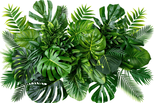 Tropical Green Leaves Illustration - Lush Foliage Texture png