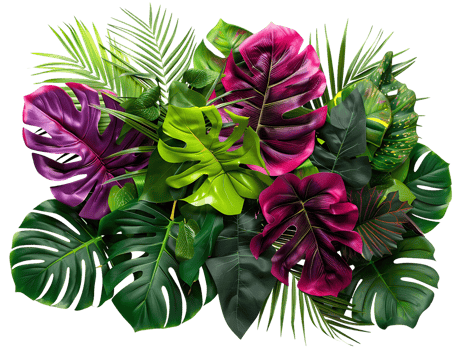 Tropical Green and Purple Leaf Illustration png