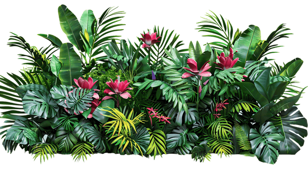 Vibrant Tropical Jungle Illustration with Lush Greenery and Pink Flowers png