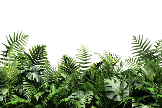 Lush Tropical Green Foliage Illustration png