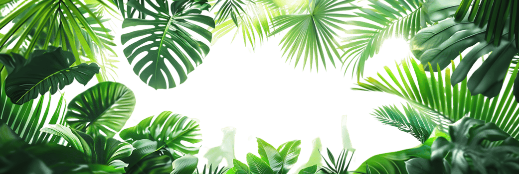 Tropical Leaves Illustration with Black Background png