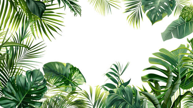 Tropical Leaves Frame Illustration png