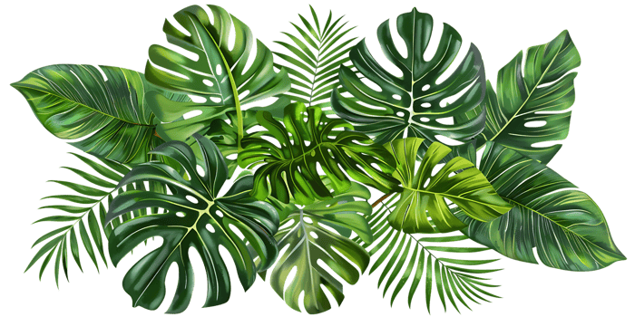 Tropical Green Leaves Illustration png