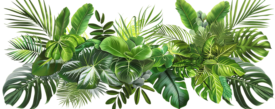 Green Tropical Leaves Illustration - Lush Foliage and Exotic Plants png
