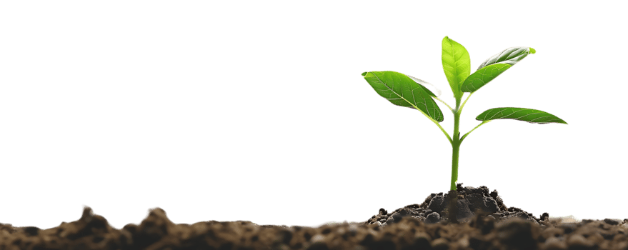Green Plant Sprout Growing in Dark Soil Illustration png