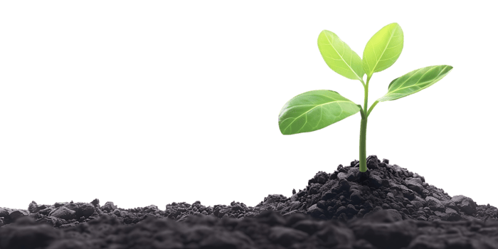 Green Plant Sprout Growing in Dark Soil Illustration png