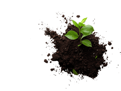 Green Plant Sprouting from Dark Soil Illustration png