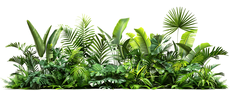 Lush Tropical Jungle Foliage Illustration png