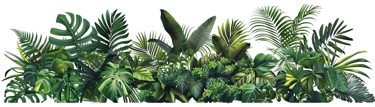 Lush Tropical Jungle Foliage Illustration png
