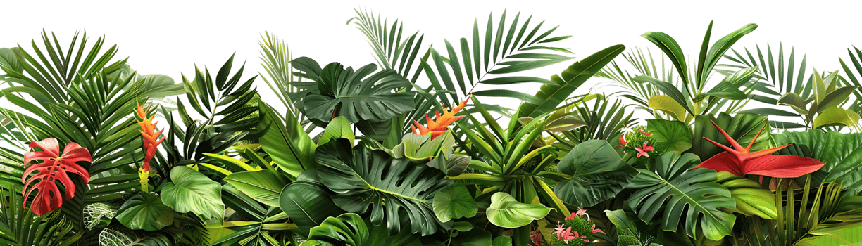 Tropical Leaves and Flowers Illustration png