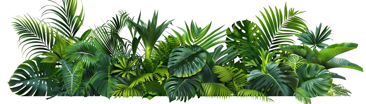 Tropical Green Leaves Illustration Background png