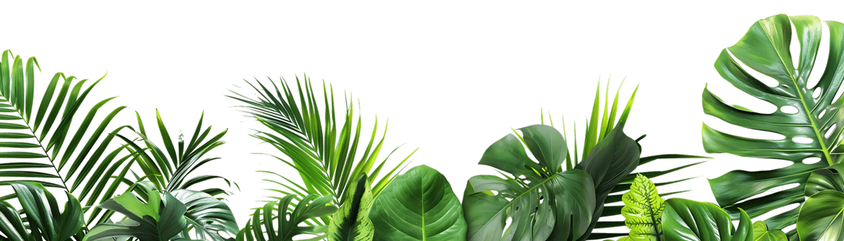 Tropical Green Leaves Background Illustration png