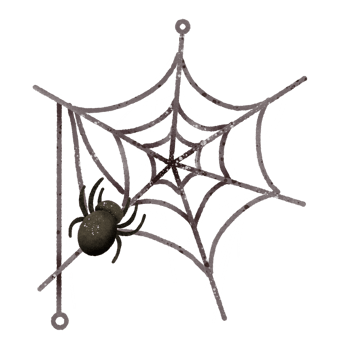 Watercolor Hand drawn illustration a black spider on a spider web isolated spooky Halloween element png