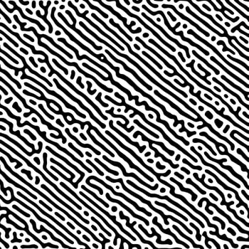 Abstract black and white pattern design background vector
