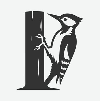 Majestic Woodpecker Silhouette,A Symbol of Nature's Resilience white background vector