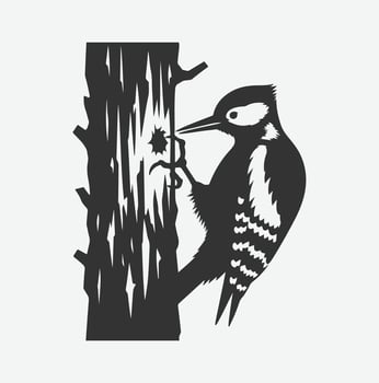 Majestic Woodpecker Silhouette,A Symbol of Nature's Resilience white background vector