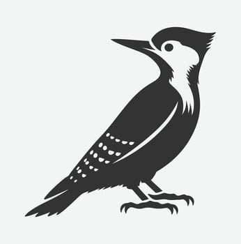 Majestic Woodpecker Silhouette,A Symbol of Nature's Resilience white background vector