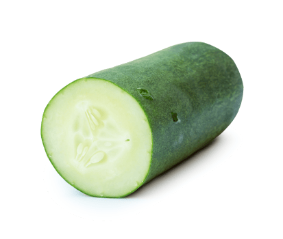 Front view of green cucumber slices or pieces in half isolated with clipping path and shadow in file format png
