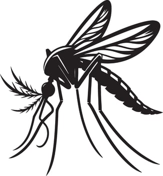 mosquito silhouette black color printable art illustration vector
