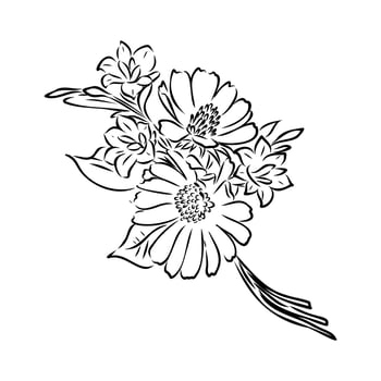 bouquet of flowers sketch vector