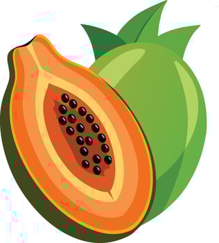 Papaya Fruit Illustration Design vector