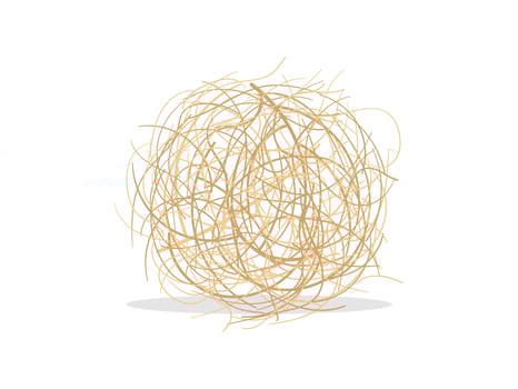 Tumbleweed, Western rolling stem of dead plant vector