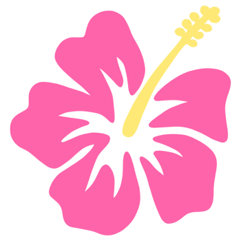 Chic Pink Hibiscus Illustration png