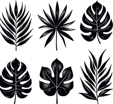 Set Of Tropical Leaves Black Silhouettes Isolated On White Background Hand Drawn Illustration vector
